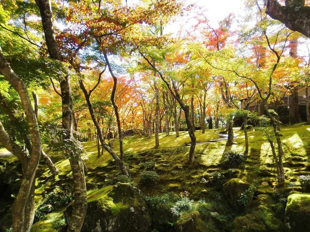 101106箱根美術館_5.JPG