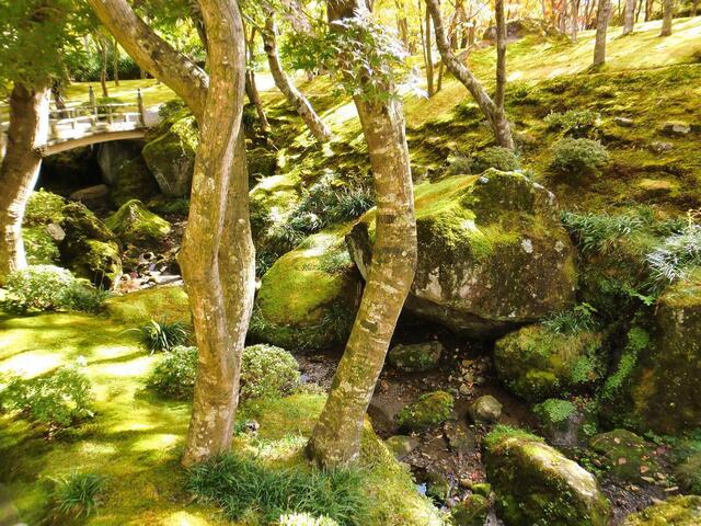 101106箱根美術館_6.JPG