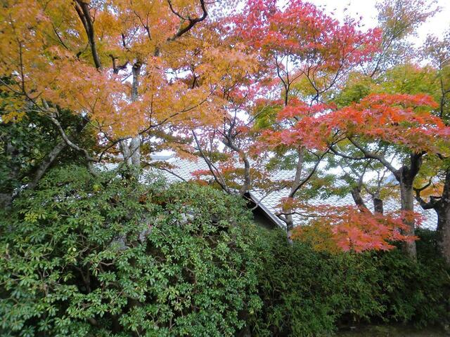 101106箱根美術館_9_10.JPG