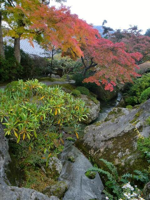 101106箱根美術館_9_11.JPG