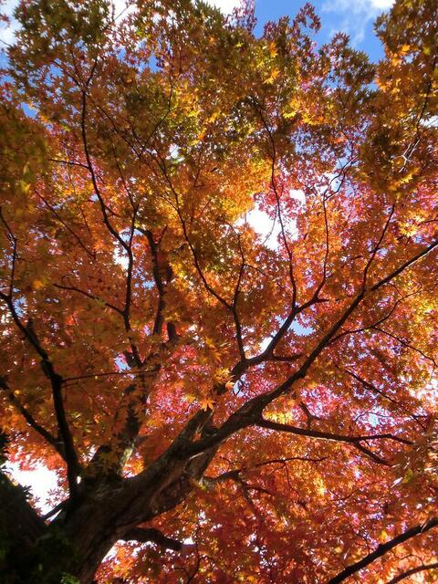 101106箱根美術館_9_23.JPG